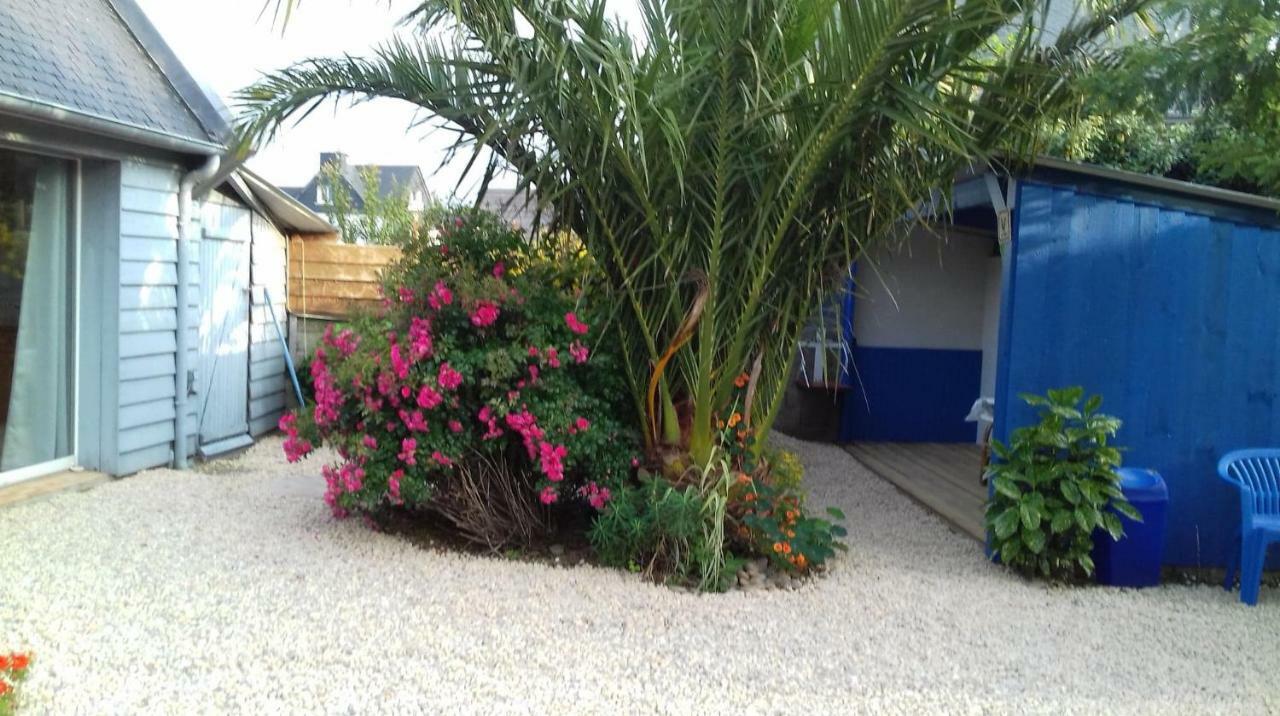 Le Petit Cottage Entre Village Et Mer Trelevern Luaran gambar